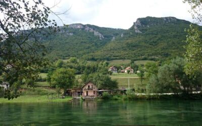 Domaćinstvo Đukić