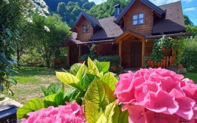 Smještaj na selu Milorad Piljić